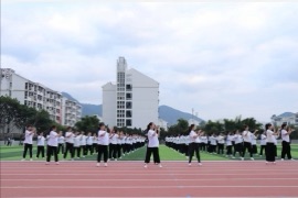 846338556E8A36995D9FDC780F9C3B1D